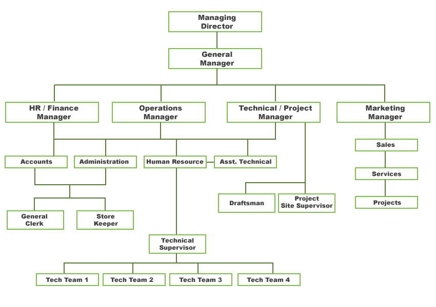 Loyalty Program Organization Structure